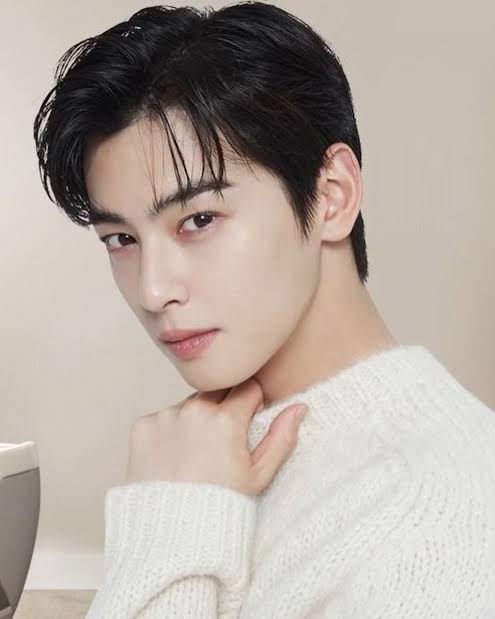 Cha Eun Woo
